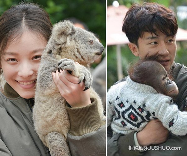 神奇的朋友综艺 1A33924582.jpg