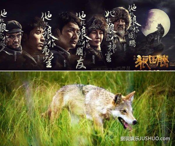 狼图腾电影完整版120分钟 145615JW0.jpg
